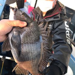 ヤザワ渡船 釣果