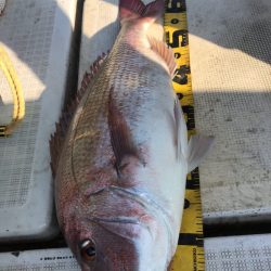 龍神丸（鹿児島） 釣果