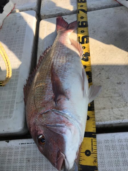 龍神丸（鹿児島） 釣果