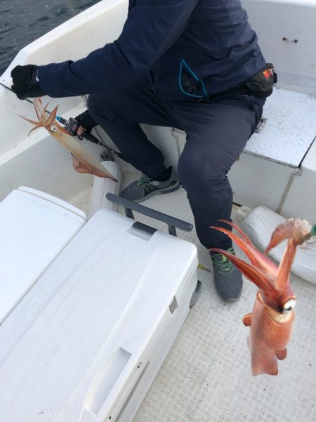 「LaGooN」蒼陽丸 日和号 釣果