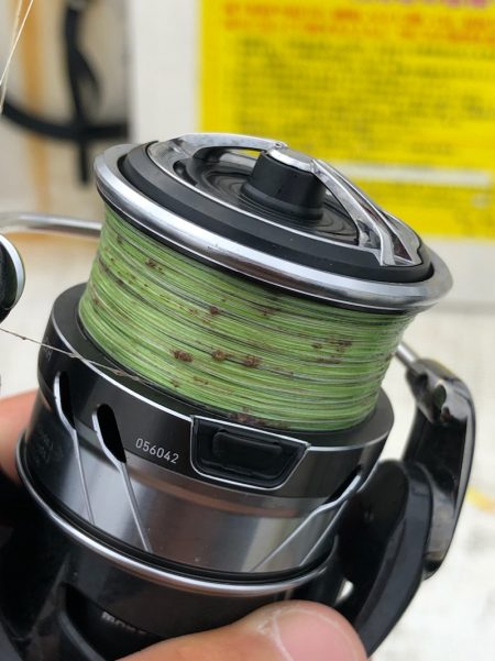 「LaGooN」蒼陽丸 日和号 釣果