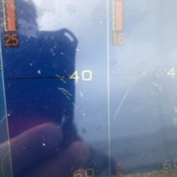 「LaGooN」蒼陽丸 日和号 釣果