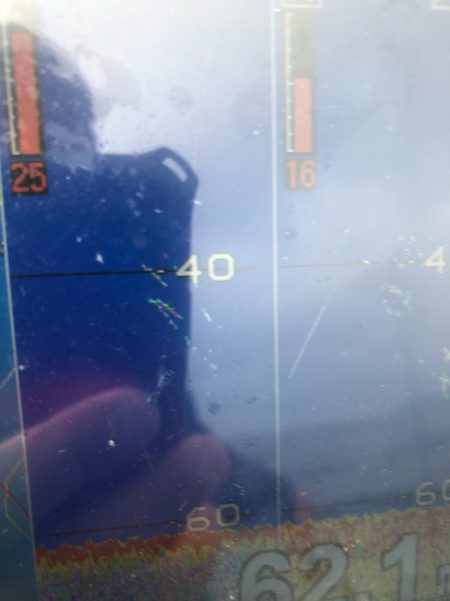 「LaGooN」蒼陽丸 日和号 釣果