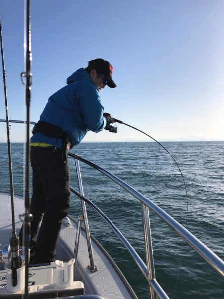 ビッグファイター 釣果