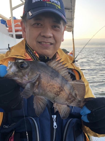 ヤザワ渡船 釣果