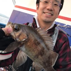 ヤザワ渡船 釣果