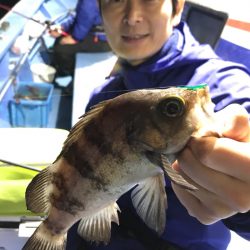 ヤザワ渡船 釣果