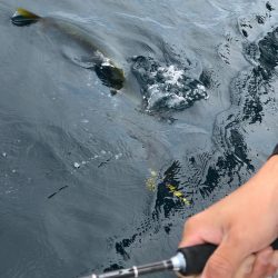 あみや渡船 JIGBOY 釣果