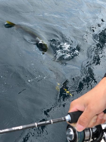 あみや渡船 JIGBOY 釣果