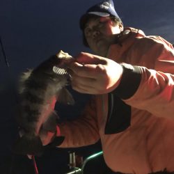 遊漁船メテオ 釣果