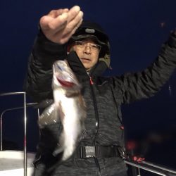 遊漁船メテオ 釣果