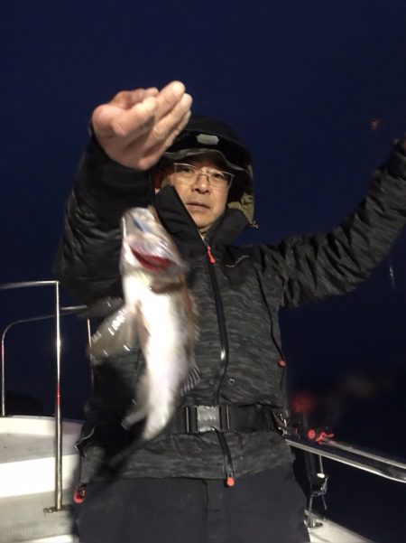 遊漁船メテオ 釣果