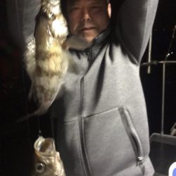 遊漁船メテオ 釣果