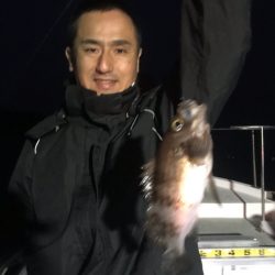 遊漁船メテオ 釣果