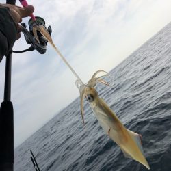 「LaGooN」蒼陽丸 日和号 釣果