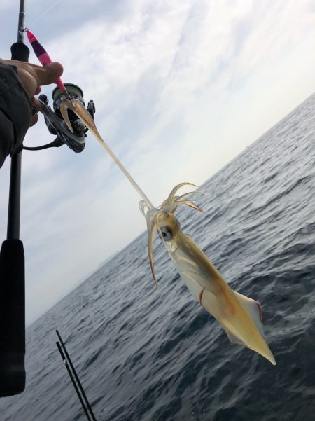 「LaGooN」蒼陽丸 日和号 釣果