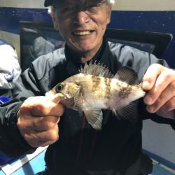 ヤザワ渡船 釣果
