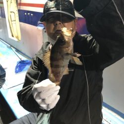 ヤザワ渡船 釣果