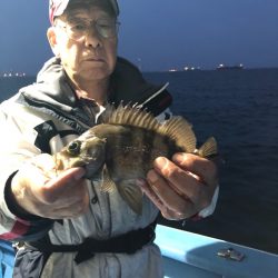 ヤザワ渡船 釣果