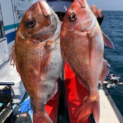 第二八坂丸 釣果