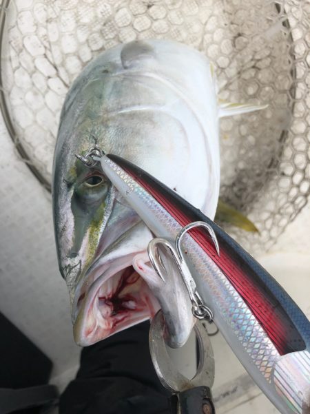 「LaGooN」蒼陽丸 日和号　 釣果