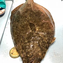 第二八坂丸 釣果