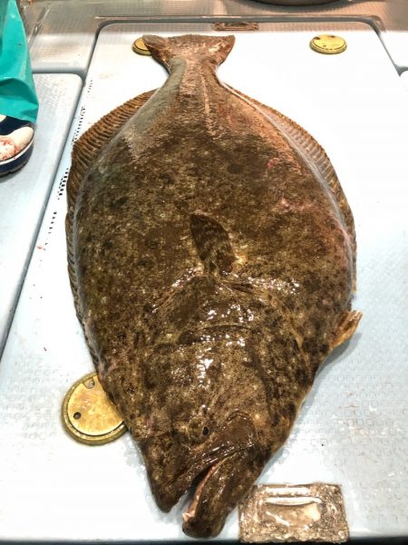 第二八坂丸 釣果