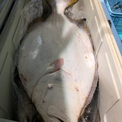 第二八坂丸 釣果