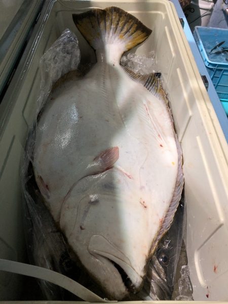 第二八坂丸 釣果