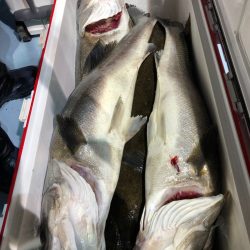 第二八坂丸 釣果