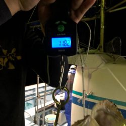 第二八坂丸 釣果