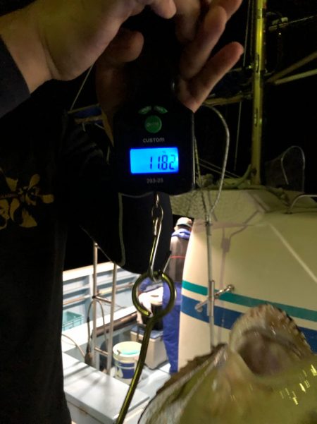 第二八坂丸 釣果