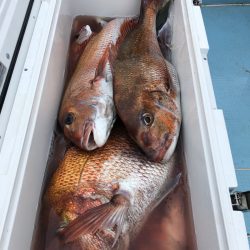 第二八坂丸 釣果