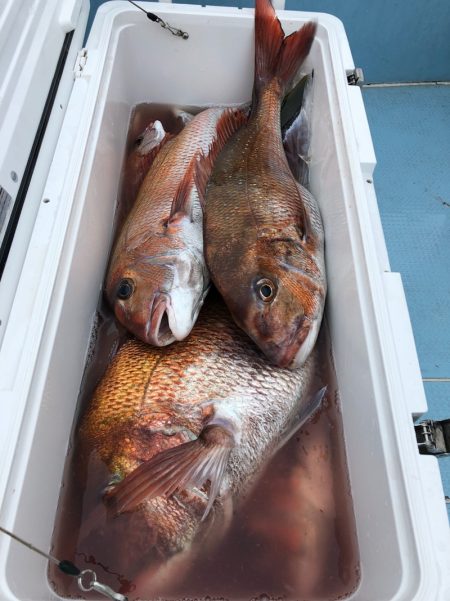 第二八坂丸 釣果