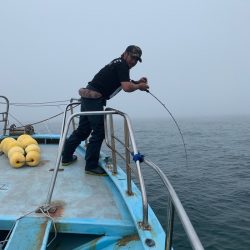 みやけ丸 釣果