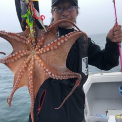 ビッグファイター 釣果