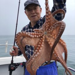 ビッグファイター 釣果