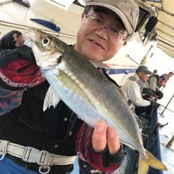 ヤザワ渡船 釣果