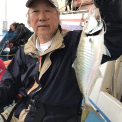 ヤザワ渡船 釣果