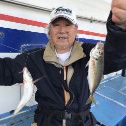 ヤザワ渡船 釣果