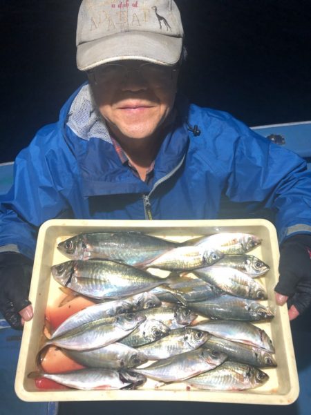 ヤザワ渡船 釣果