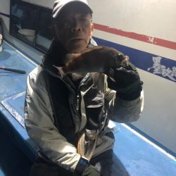 ヤザワ渡船 釣果