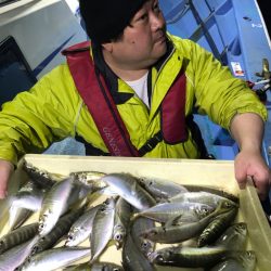 ヤザワ渡船 釣果