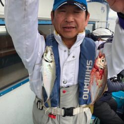 ヤザワ渡船 釣果