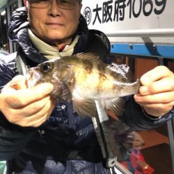 ヤザワ渡船 釣果