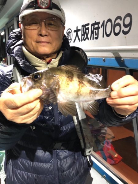 ヤザワ渡船 釣果