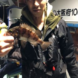 ヤザワ渡船 釣果