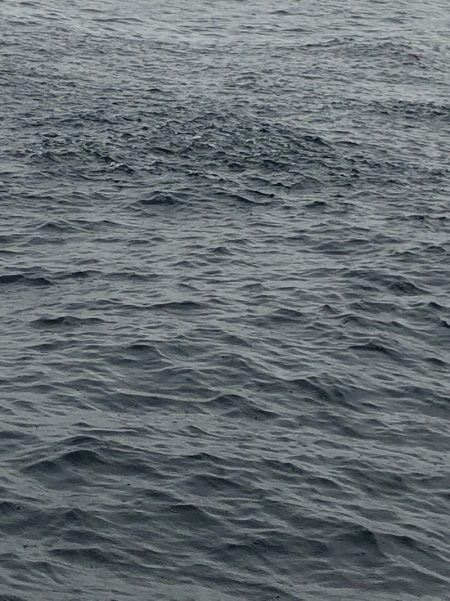 あみや渡船 JIGBOY 釣果