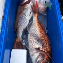 第二八坂丸 釣果