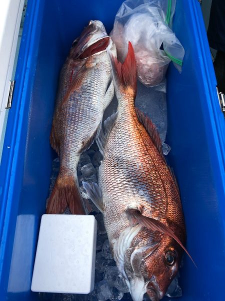 第二八坂丸 釣果